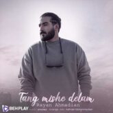 دانلود آهنگ تنگ میشه دلم از رایان احمدیان